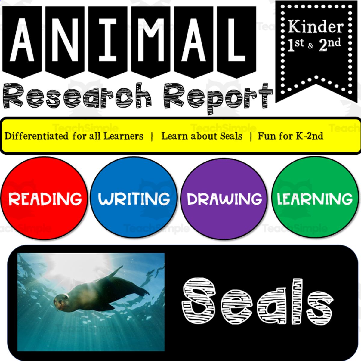 An educational teaching resource from K-5 Treasures entitled Ocean Animal Research Writing Project on SEALS for K-2nd Grade downloadable at Teach Simple.