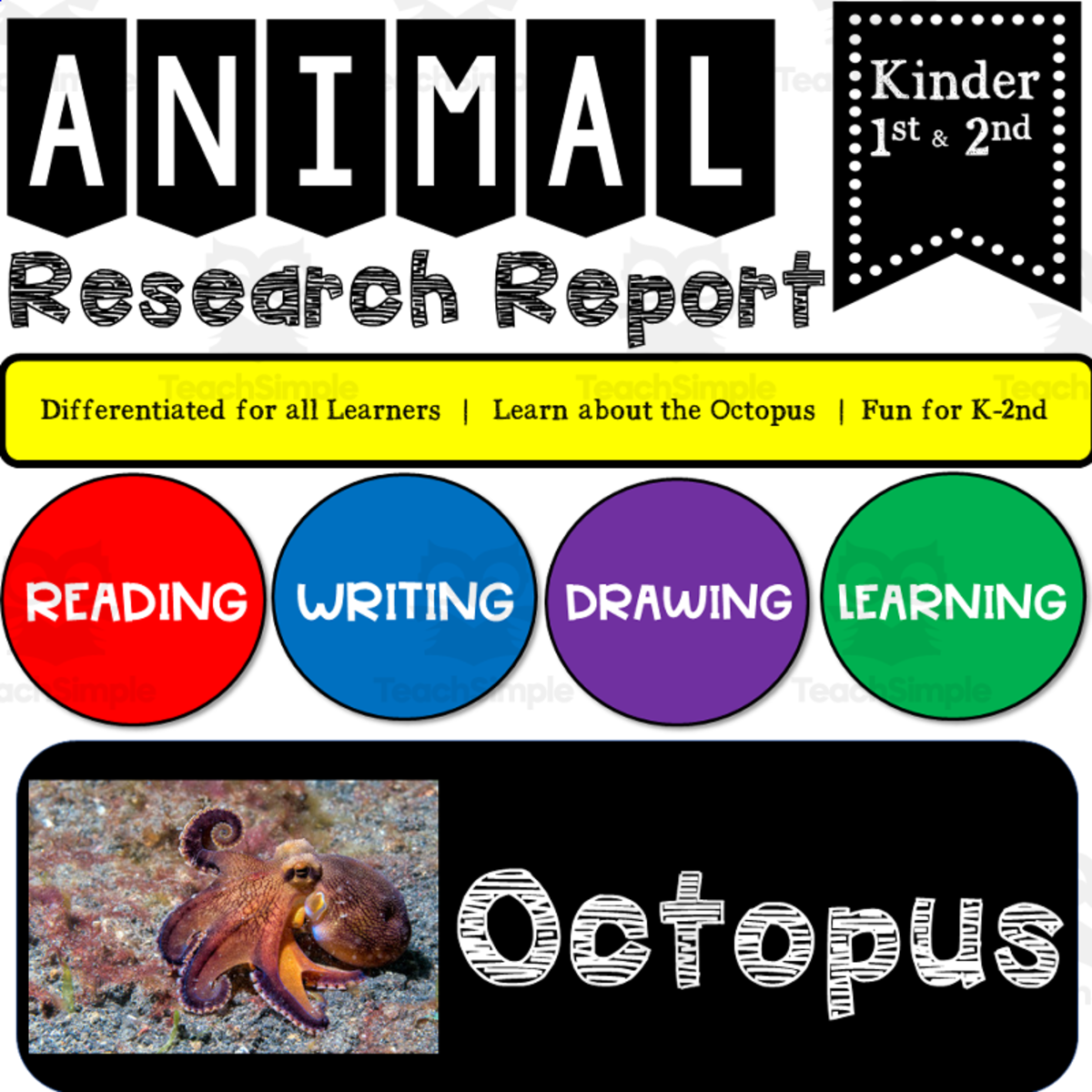 An educational teaching resource from K-5 Treasures entitled Ocean Animal Research Writing Project on the OCTOPUS for K-2nd Grade downloadable at Teach Simple.