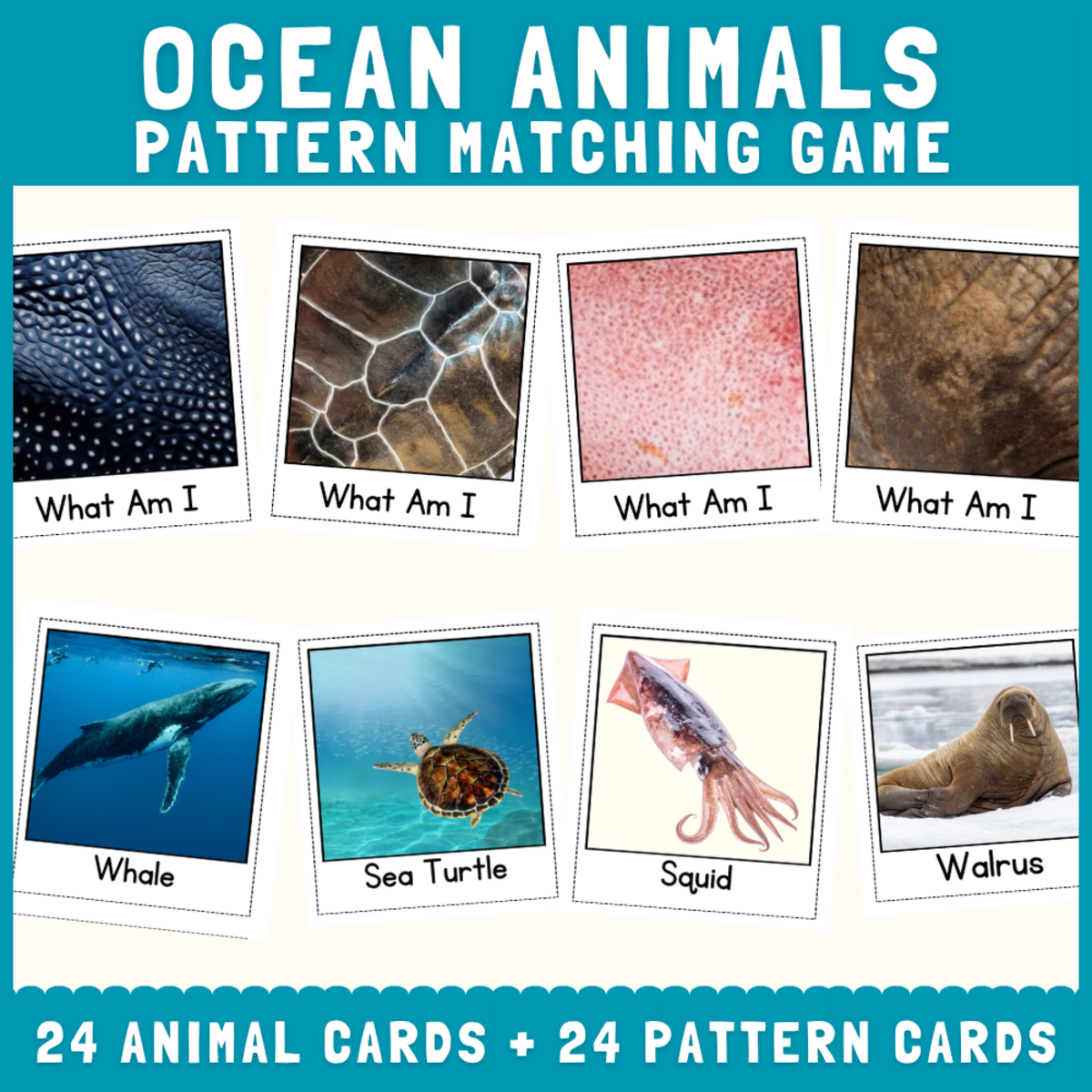 An educational teaching resource from Perfect_Printables entitled Ocean animal skin fur pattern matching cut match science activities downloadable at Teach Simple.