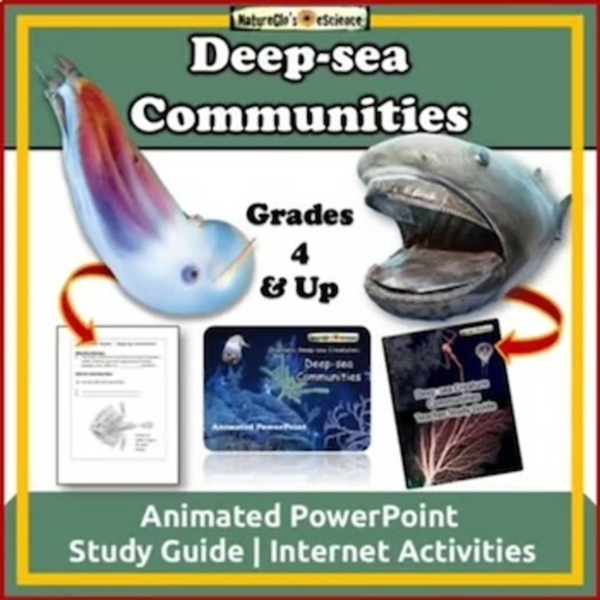 An educational teaching resource from NatureGlo's eScience entitled Ocean Animals Deep-sea Community PowerPoint and Study Guide downloadable at Teach Simple.