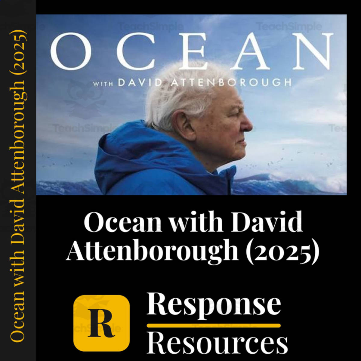 An educational teaching resource from Response Resources entitled Ocean with David Attenborough (2025) - Feature Film downloadable at Teach Simple.