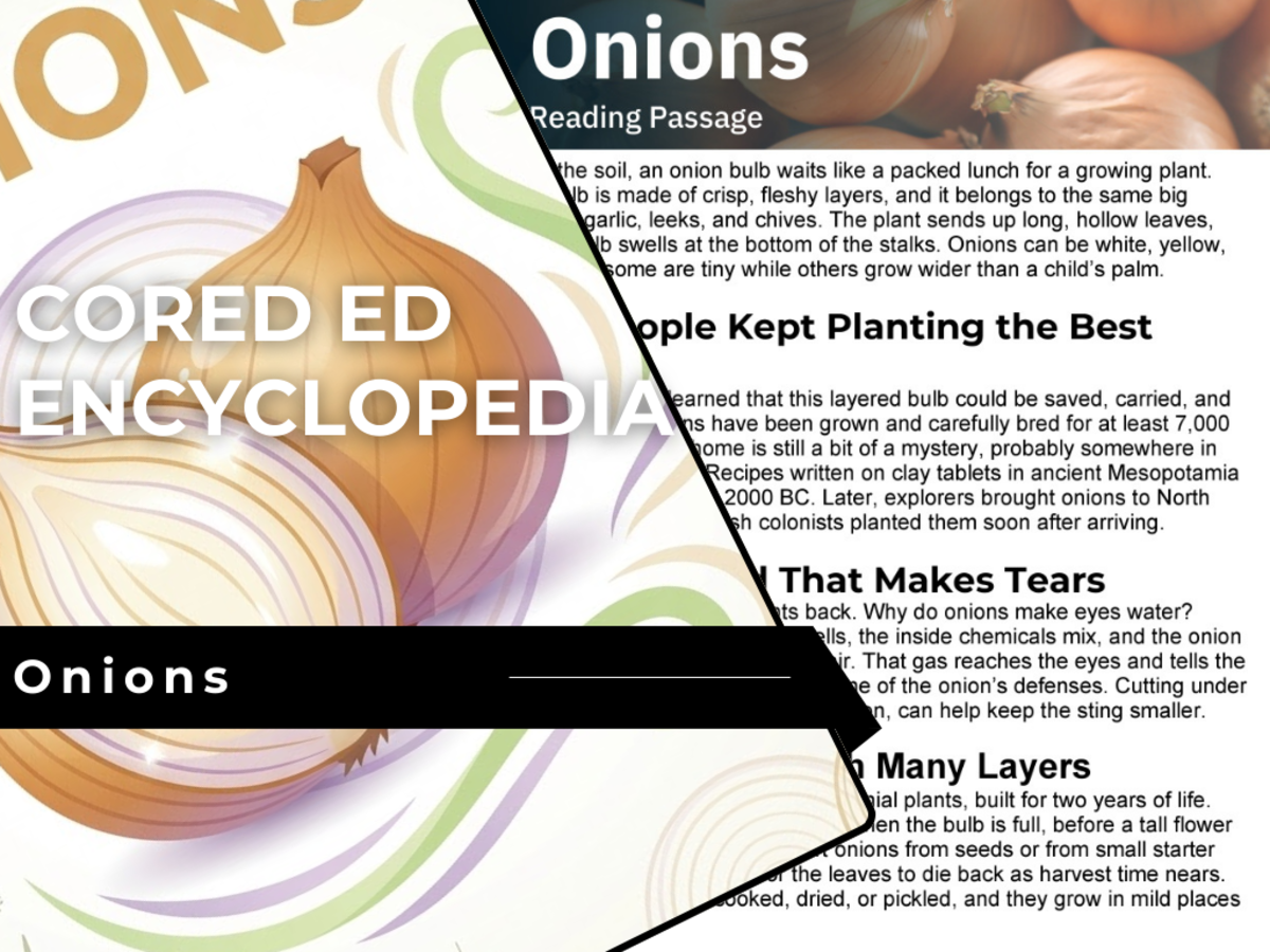 An educational teaching resource from Cored Education entitled Onions Reading Comprehension Passage - Cored Ed Encyclopedia downloadable at Teach Simple.
