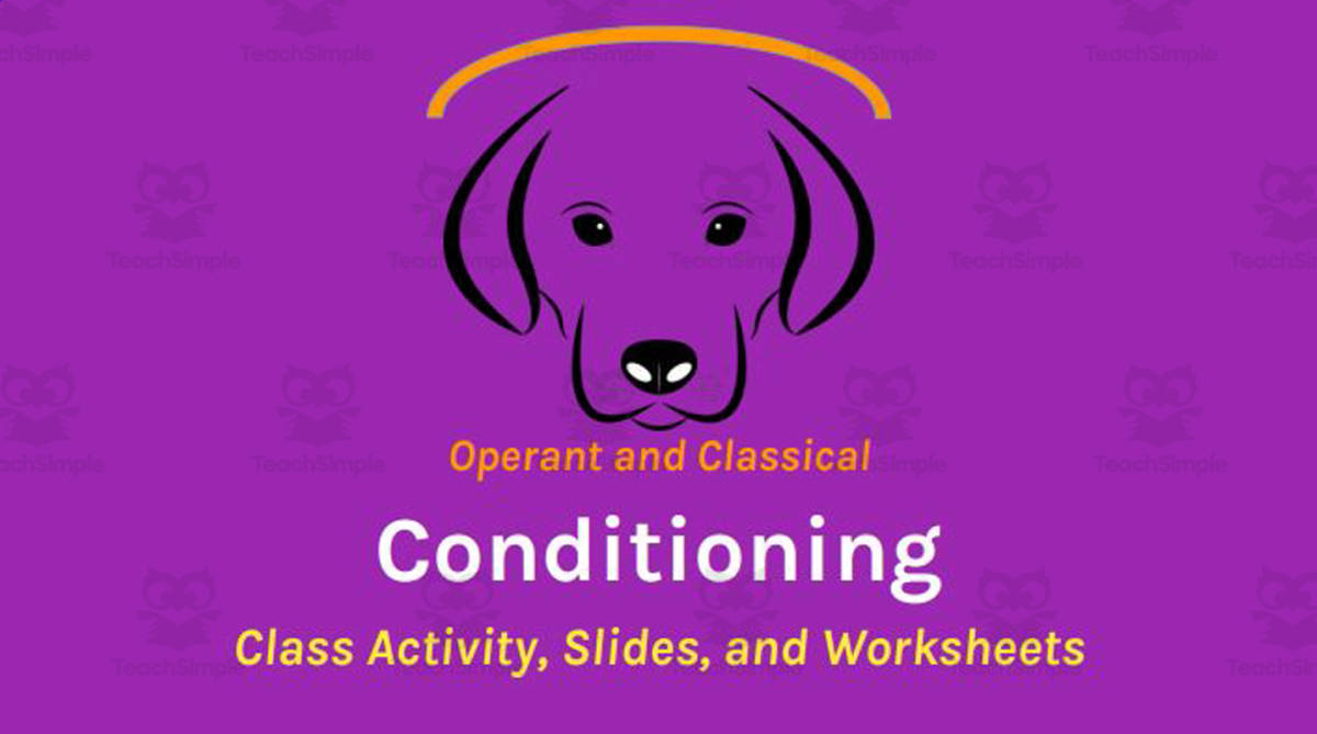 An educational teaching resource from Ed Dynamic entitled Operant and Classical Conditioning (Slides, Class Activity, Worksheets, Videos) downloadable at Teach Simple.