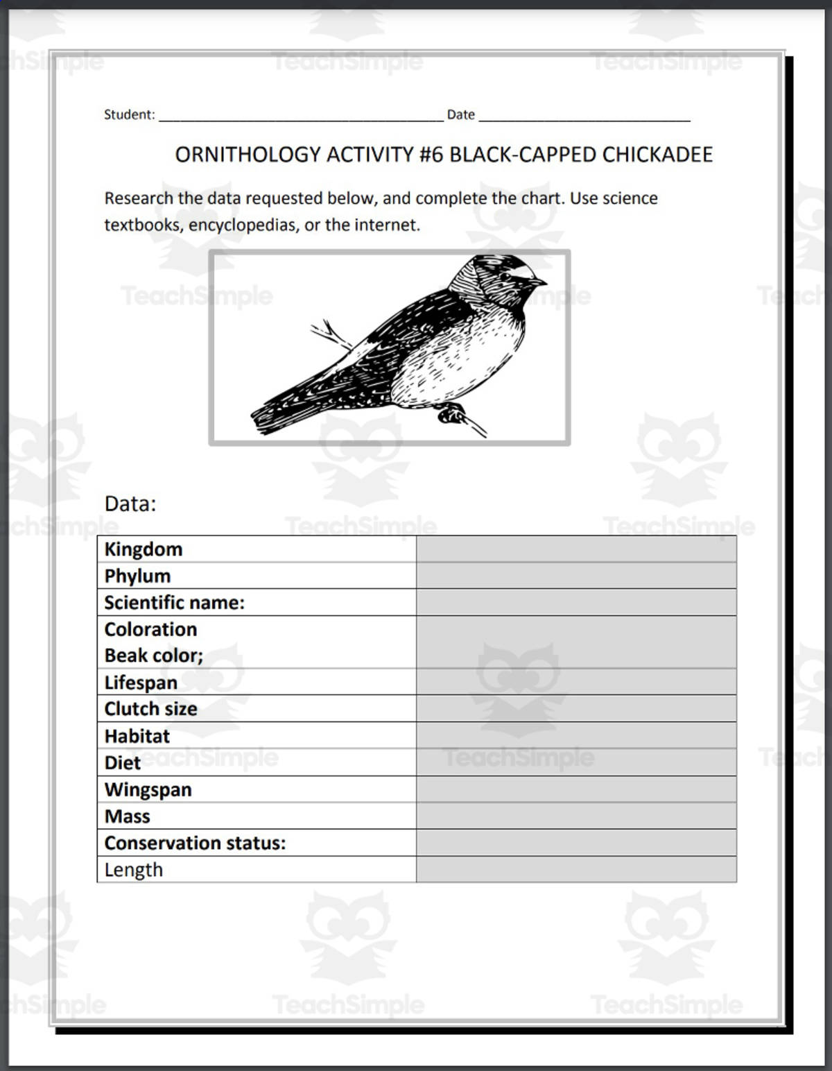 An educational teaching resource from THE LANTERN OF KNOWLEDGE entitled Ornithology: Black-Capped Chickadee - Research Project downloadable at Teach Simple.