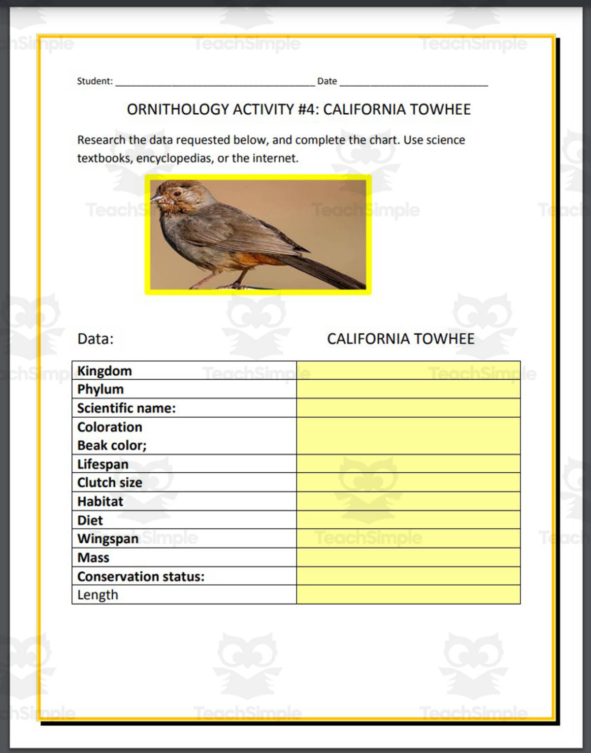 An educational teaching resource from THE LANTERN OF KNOWLEDGE entitled Ornithology: California Towhee - Research Project downloadable at Teach Simple.
