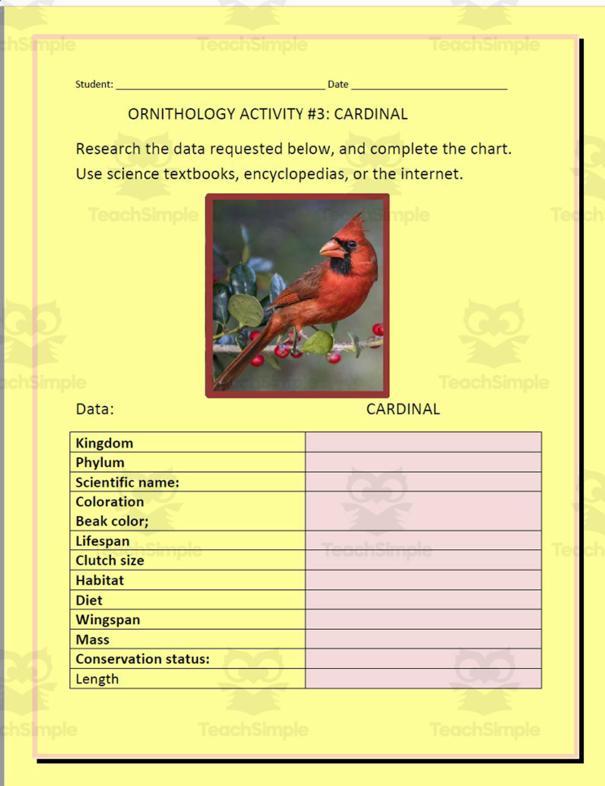 An educational teaching resource from THE LANTERN OF KNOWLEDGE entitled Ornithology: Cardinal - Research Project downloadable at Teach Simple.