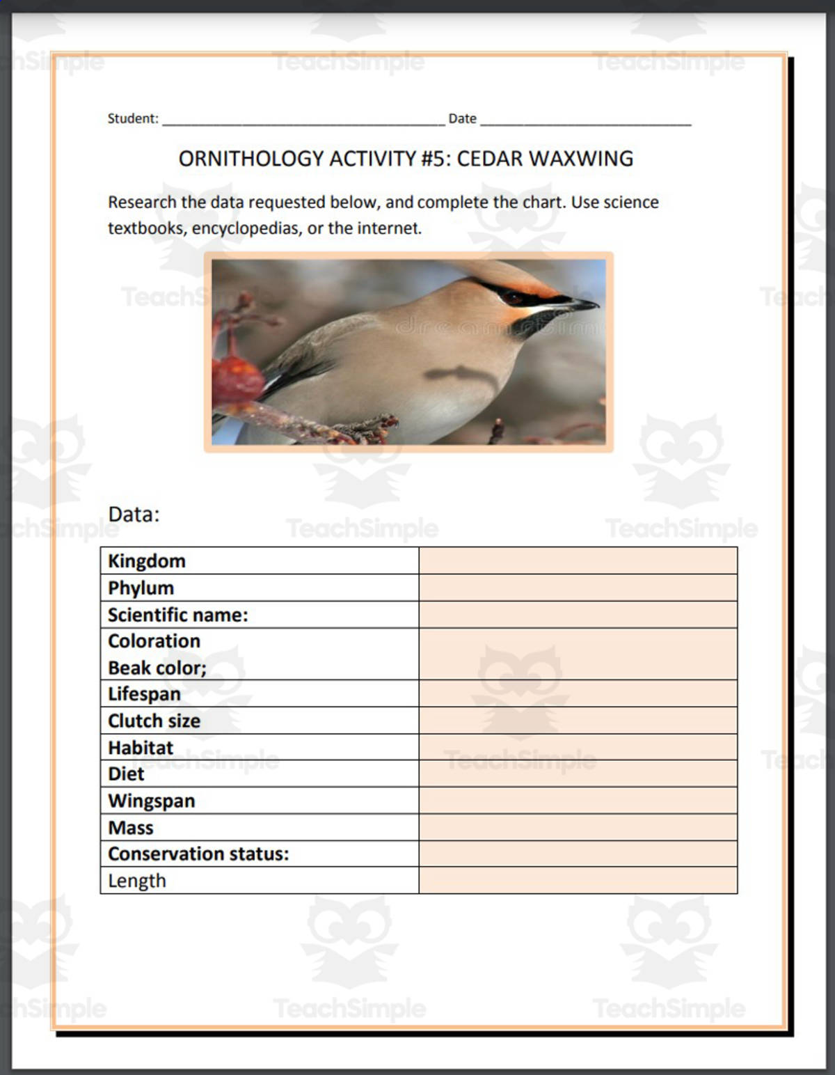 An educational teaching resource from THE LANTERN OF KNOWLEDGE entitled Ornithology: Cedar Waxwing - Research Project downloadable at Teach Simple.
