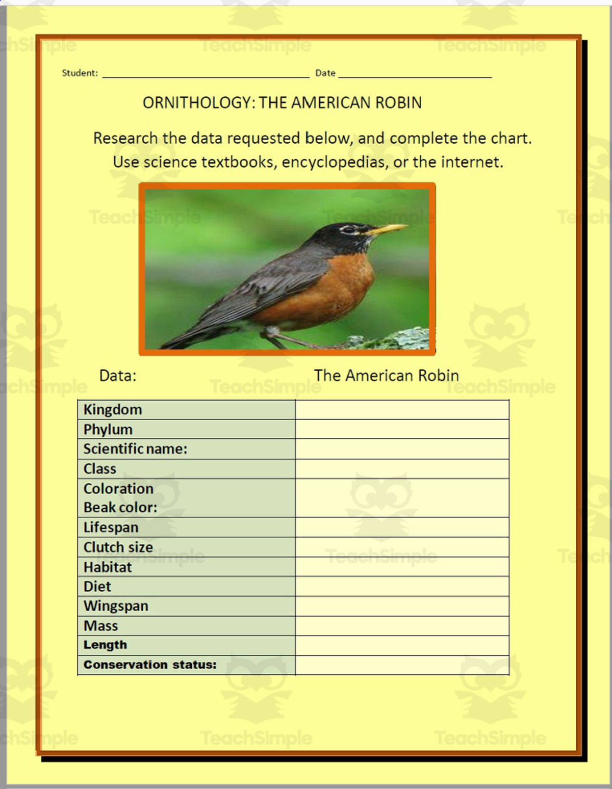 An educational teaching resource from THE LANTERN OF KNOWLEDGE entitled Ornithology: The American Robin - Research Project downloadable at Teach Simple.