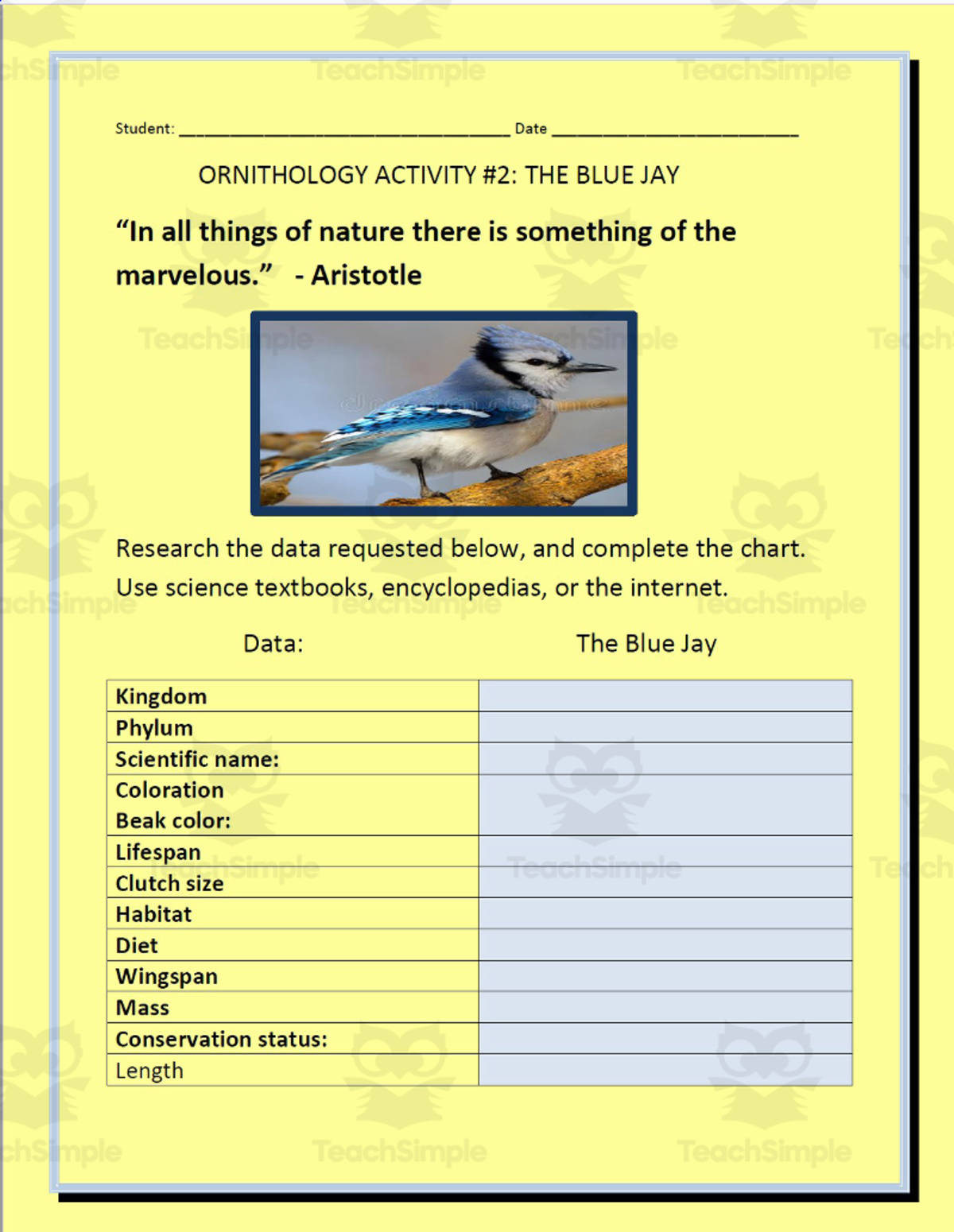 An educational teaching resource from THE LANTERN OF KNOWLEDGE entitled Ornithology: The Blue Jay - Research Project downloadable at Teach Simple.