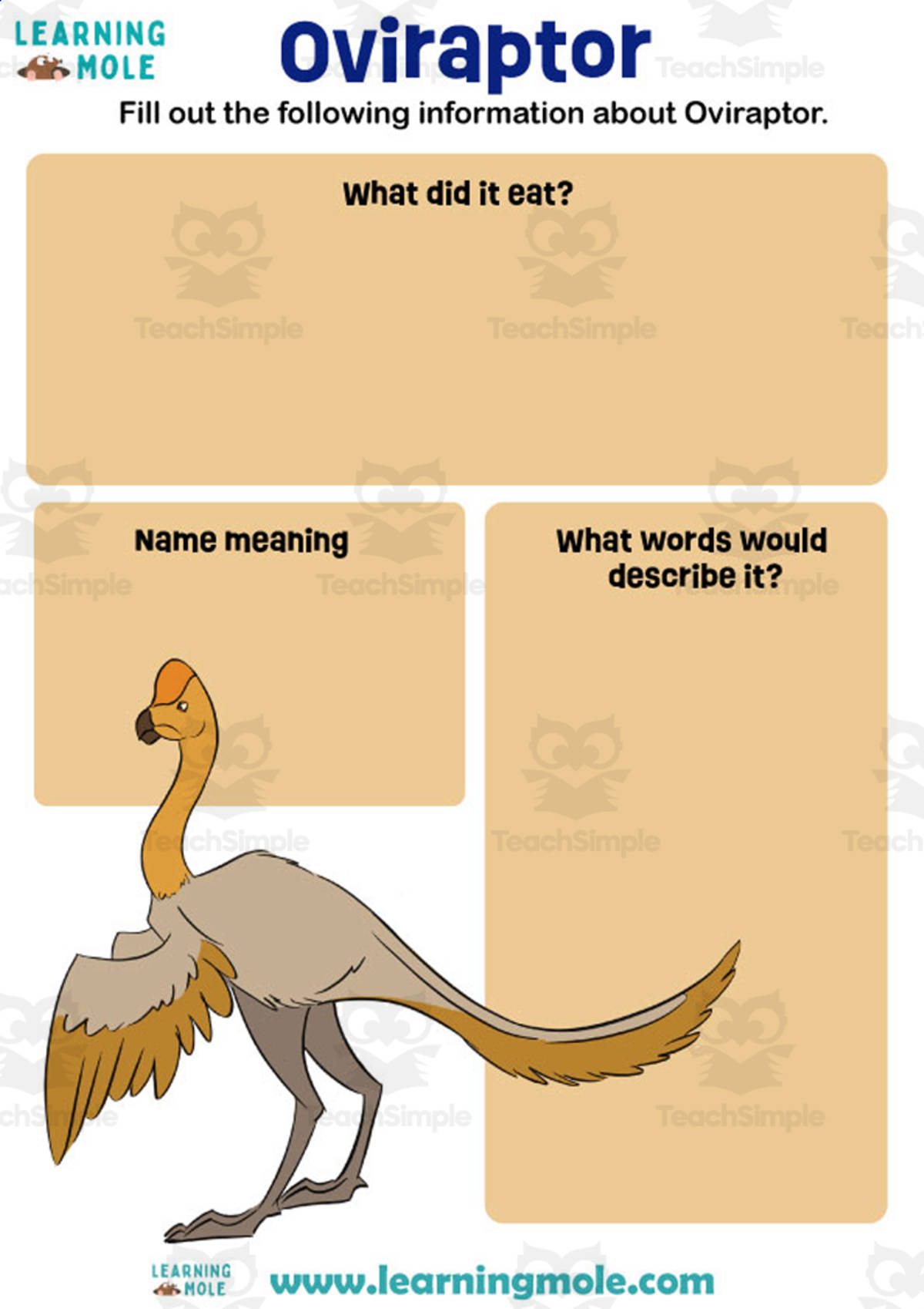 An educational teaching resource from Educational Voice entitled Oviraptor Activity downloadable at Teach Simple.