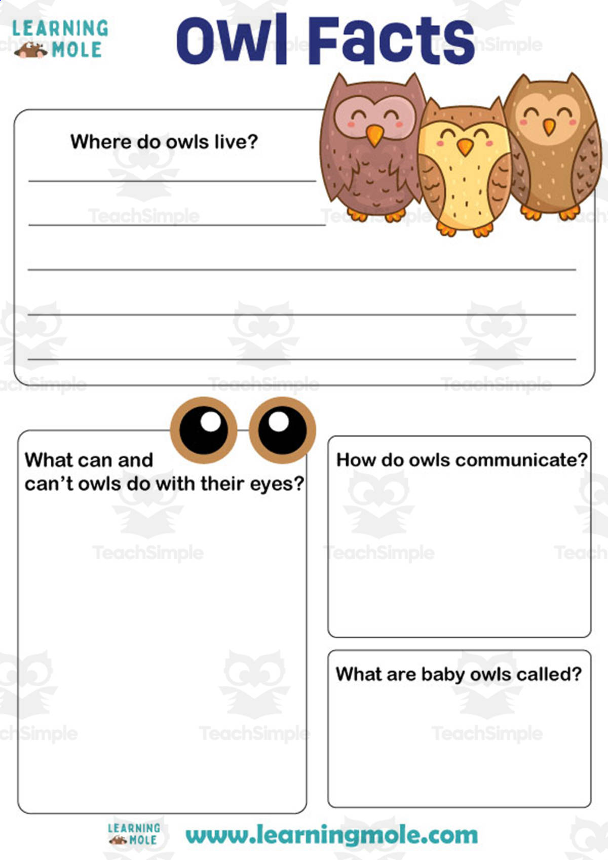 An educational teaching resource from Educational Voice entitled Owl Activity downloadable at Teach Simple.