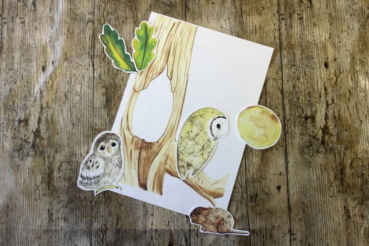 An educational teaching resource from Fiddleticks Education entitled Owl Watercolor Journaling Set downloadable at Teach Simple.