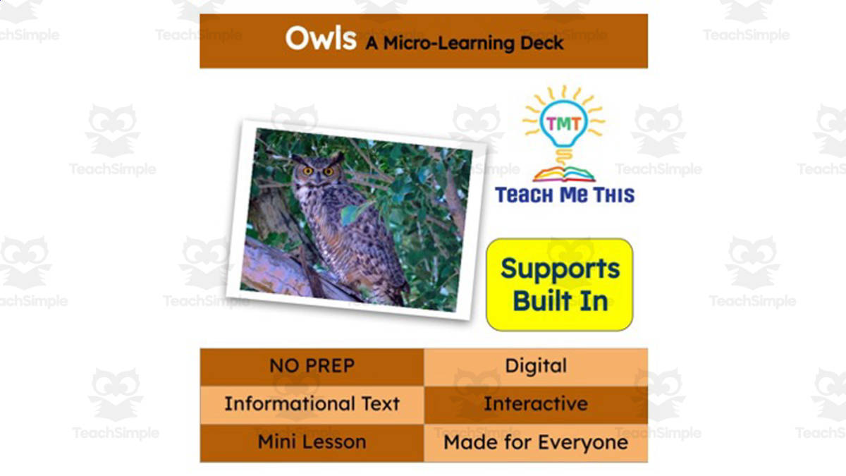 An educational teaching resource from Teach Me This entitled Owls | Interactive Science Lesson | Micro-Learning Deck downloadable at Teach Simple.
