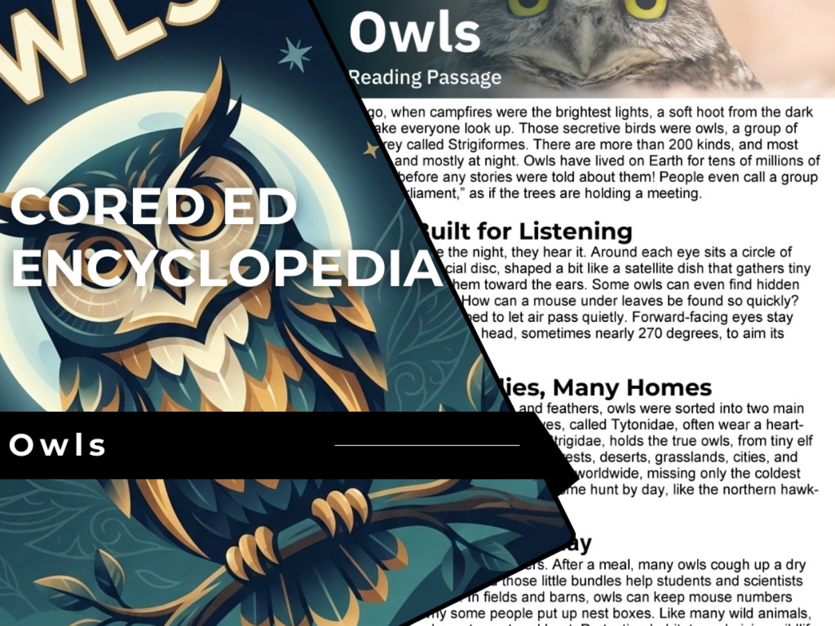 An educational teaching resource from Cored Education entitled Owls Reading Comprehension Passage - Cored Ed Encyclopedia downloadable at Teach Simple.