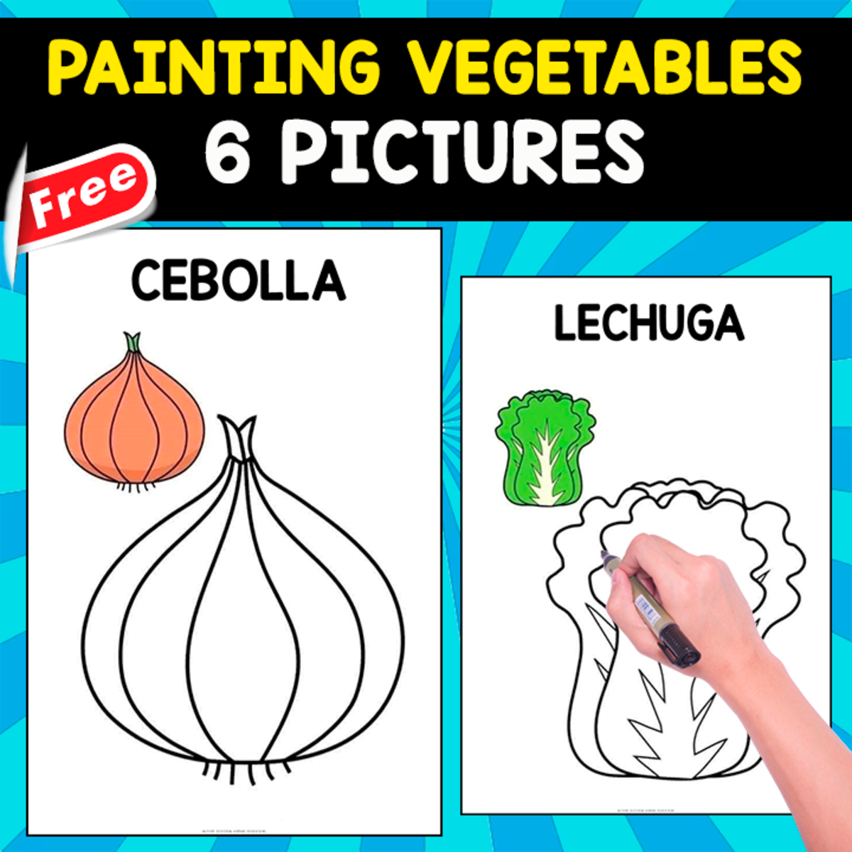 An educational teaching resource from EDITORIAL LAURA EDUCA entitled PAINTING VEGETABLES | SPANISH VOCABULARY downloadable at Teach Simple.