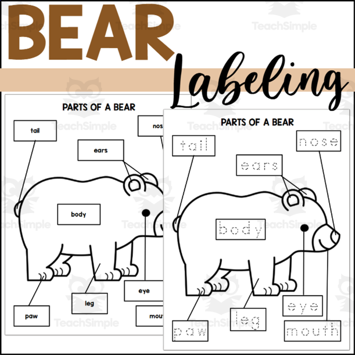 An educational teaching resource from The Connett Connection entitled Parts of a Bear: Labeling a Bear downloadable at Teach Simple.