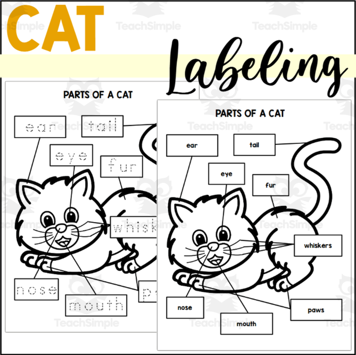 An educational teaching resource from The Connett Connection entitled Parts of a Cat: Labeling a Cat downloadable at Teach Simple.