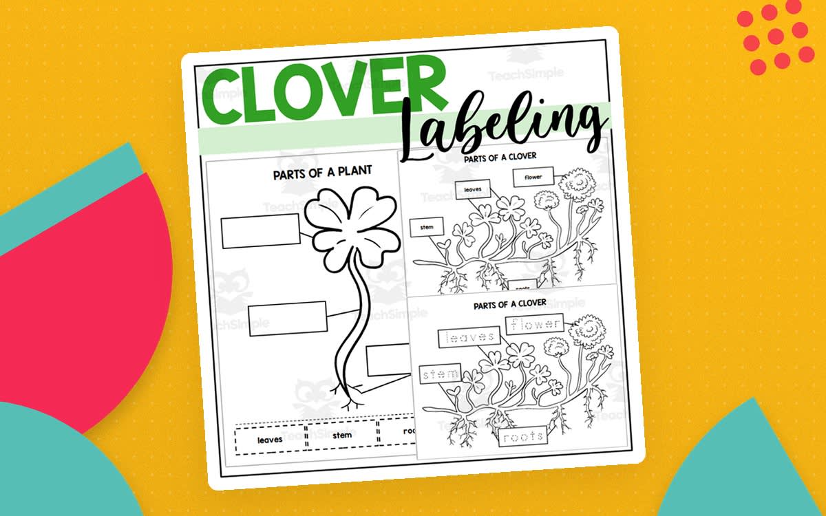 An educational teaching resource from The Connett Connection entitled Parts of a Clover: Labeling a Clover Plant downloadable at Teach Simple.