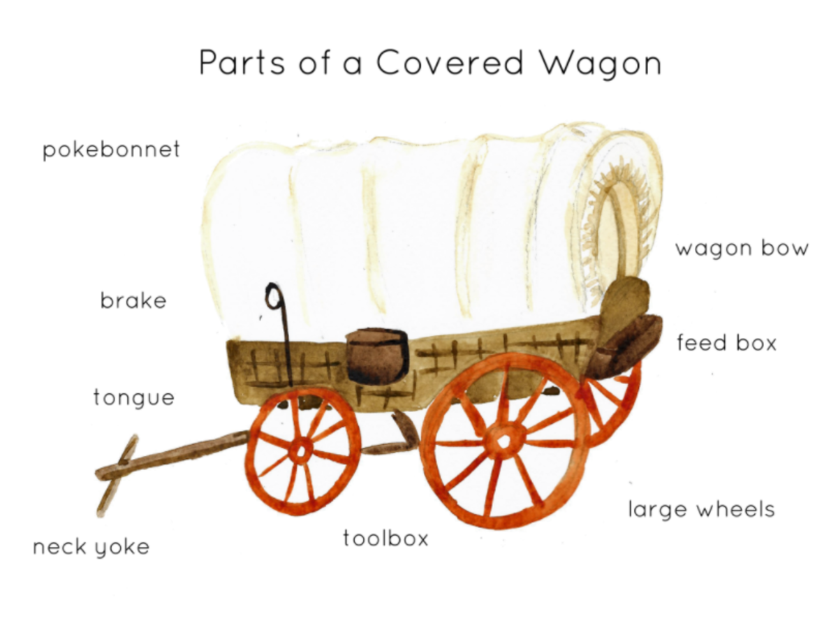 An educational teaching resource from Fiddleticks Education entitled Parts of a Covered Wagon Poster Print downloadable at Teach Simple.