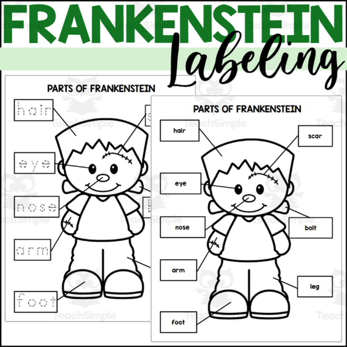 An educational teaching resource from The Connett Connection entitled Parts of a Frankenstein: Labeling a Frankenstein downloadable at Teach Simple.