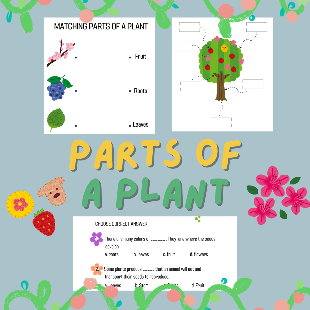 An educational teaching resource from Cutie worksheets986 entitled Parts of a Plant Worksheets | Grade 1 Science & Biology downloadable at Teach Simple.