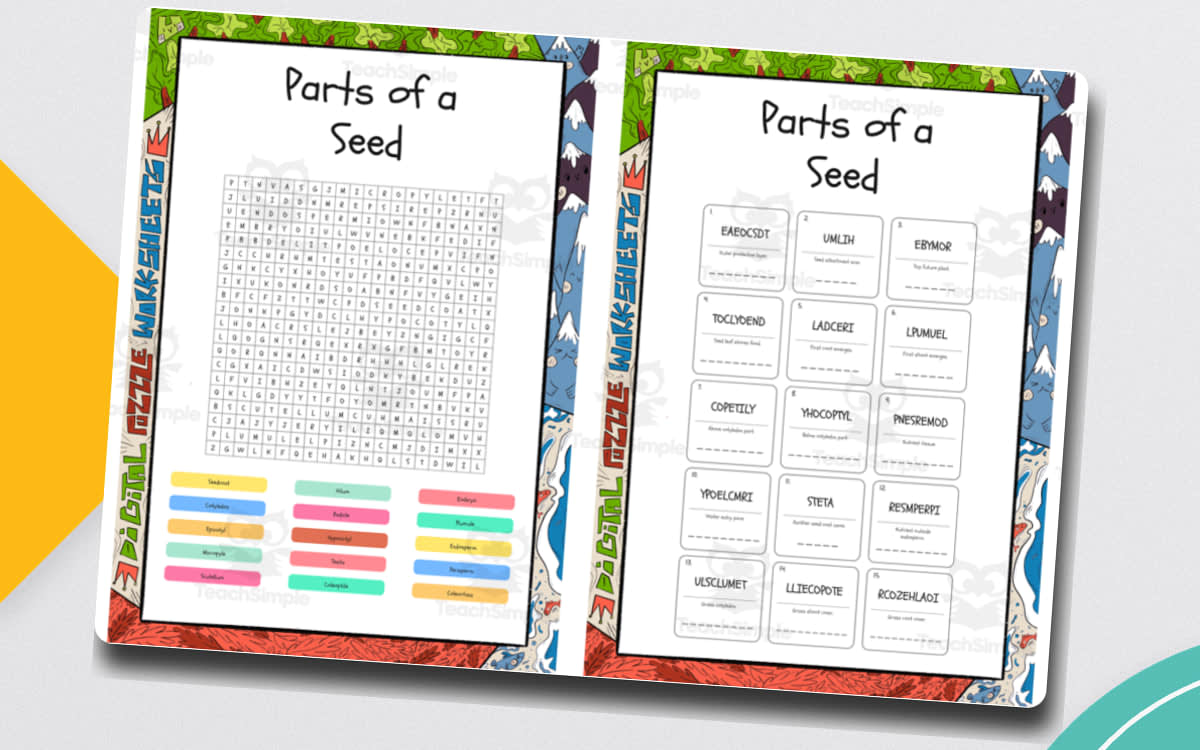 An educational teaching resource from Lapiiin Art Activities entitled Parts of a Seed word search, scramble and crossword downloadable at Teach Simple.