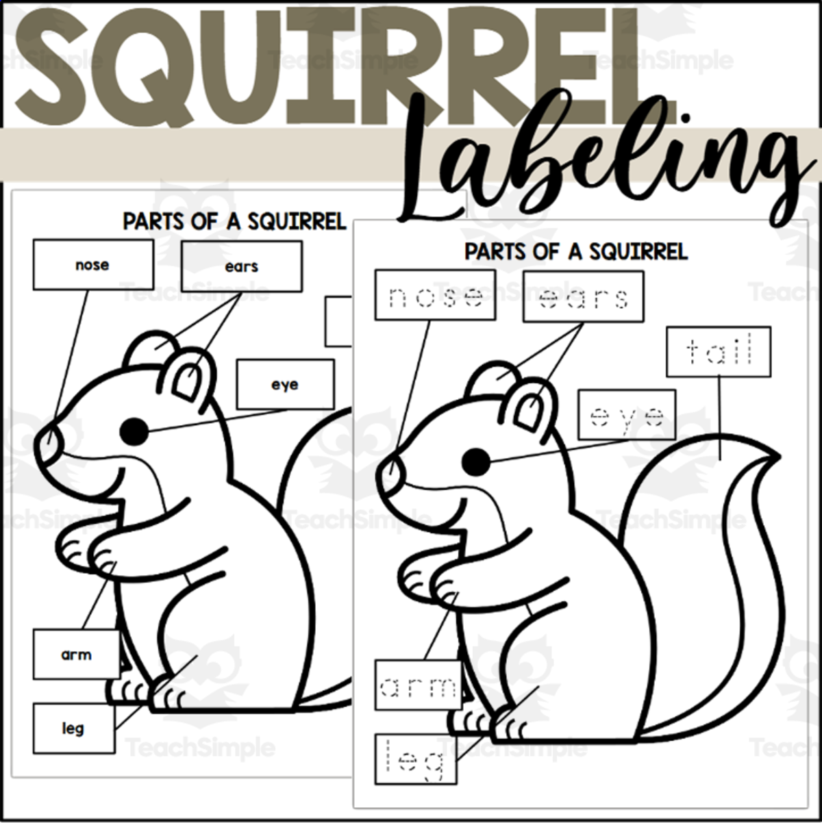 An educational teaching resource from The Connett Connection entitled Parts of a Squirrel: Labeling a Squirrel downloadable at Teach Simple.
