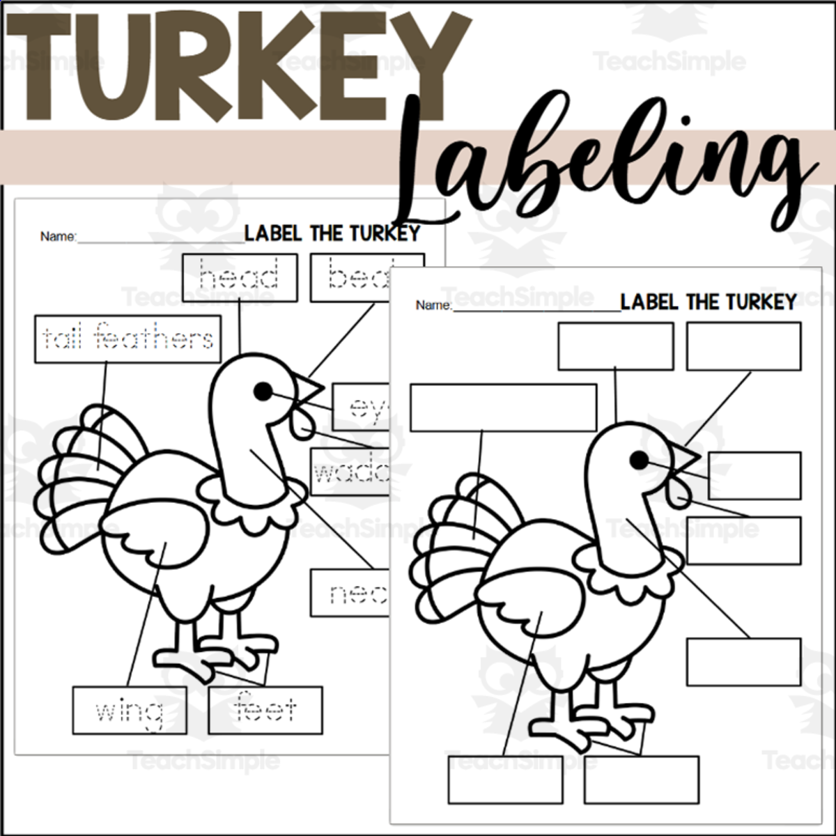 An educational teaching resource from The Connett Connection entitled Parts of a Turkey: Labeling a Turkey downloadable at Teach Simple.