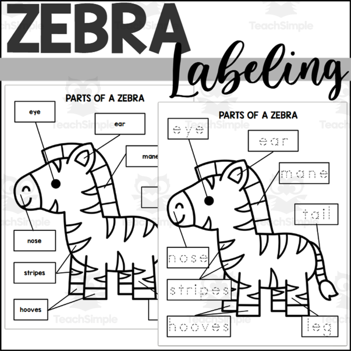 An educational teaching resource from The Connett Connection entitled Parts of a Zebra: Labeling a Zebra downloadable at Teach Simple.