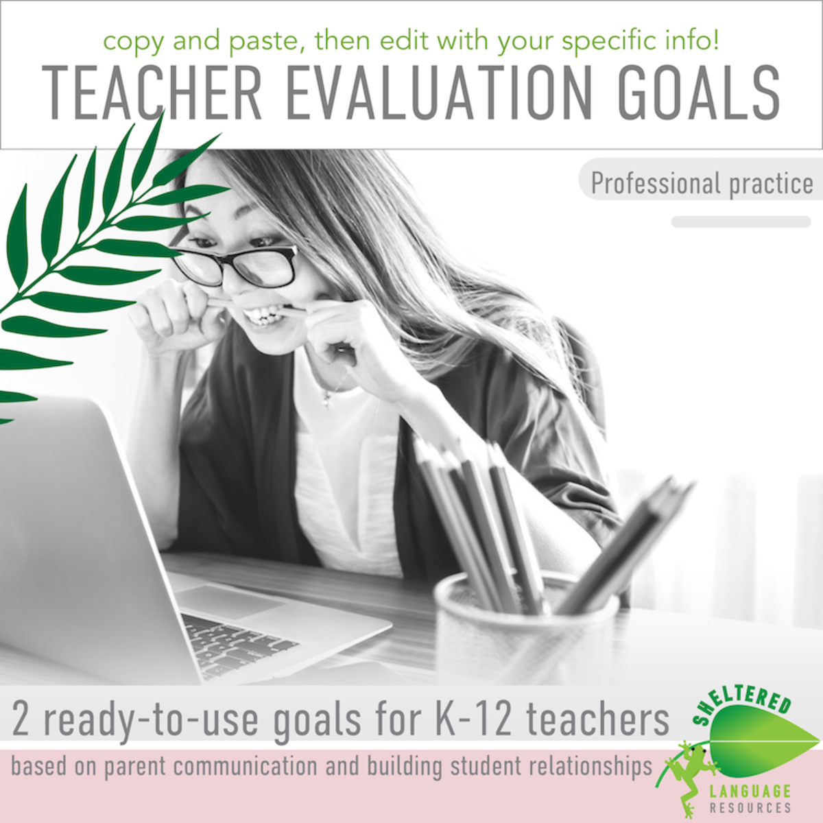 An educational teaching resource from Sheltered Language Resources entitled PD: Professional Practice Goals - Writing Teacher Evaluation downloadable at Teach Simple.