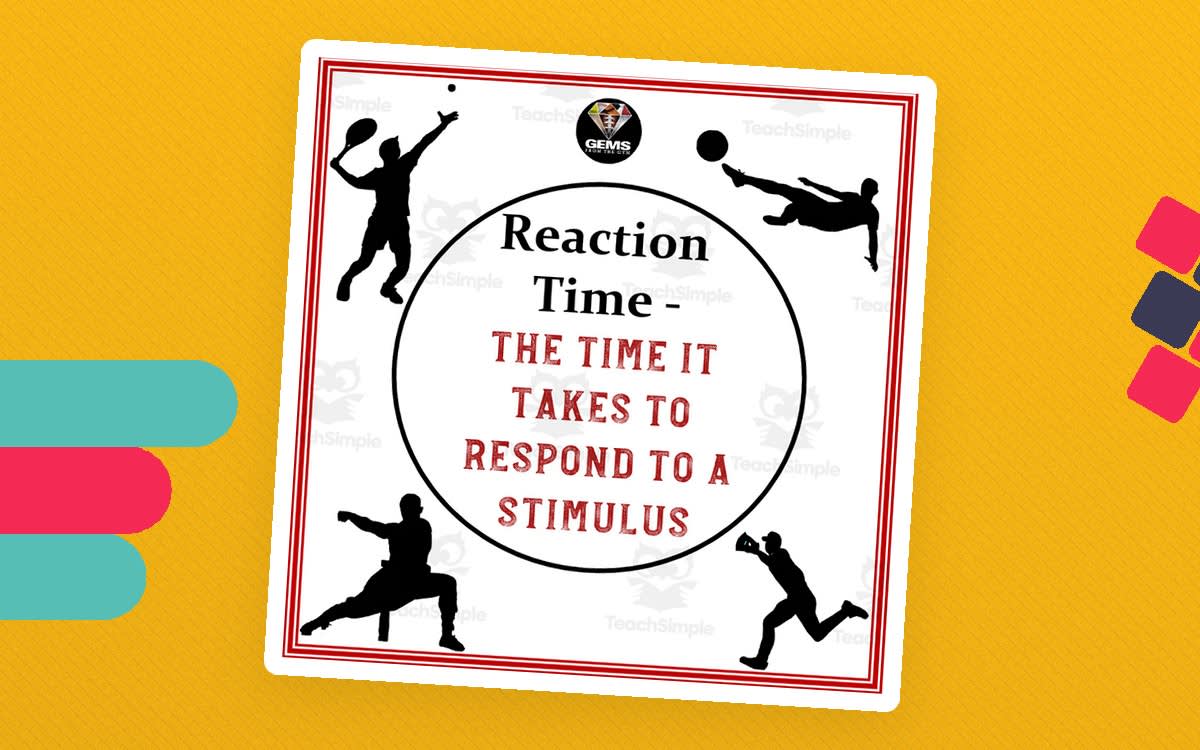 An educational teaching resource from Gems from the Gym entitled PE Bulletin Board downloadable at Teach Simple.