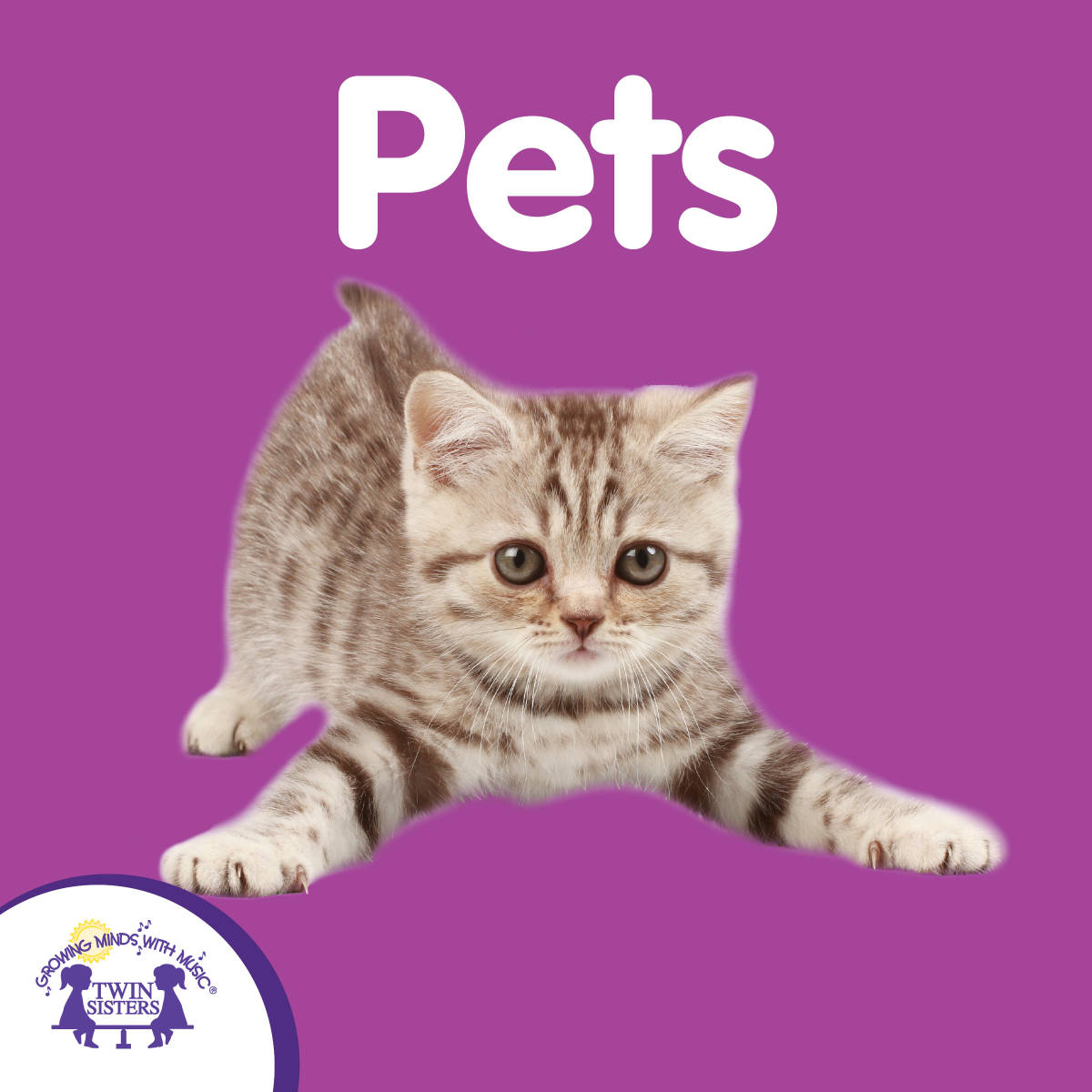 An educational teaching resource from Twin Sisters Digital Media entitled Pets Songs downloadable at Teach Simple.