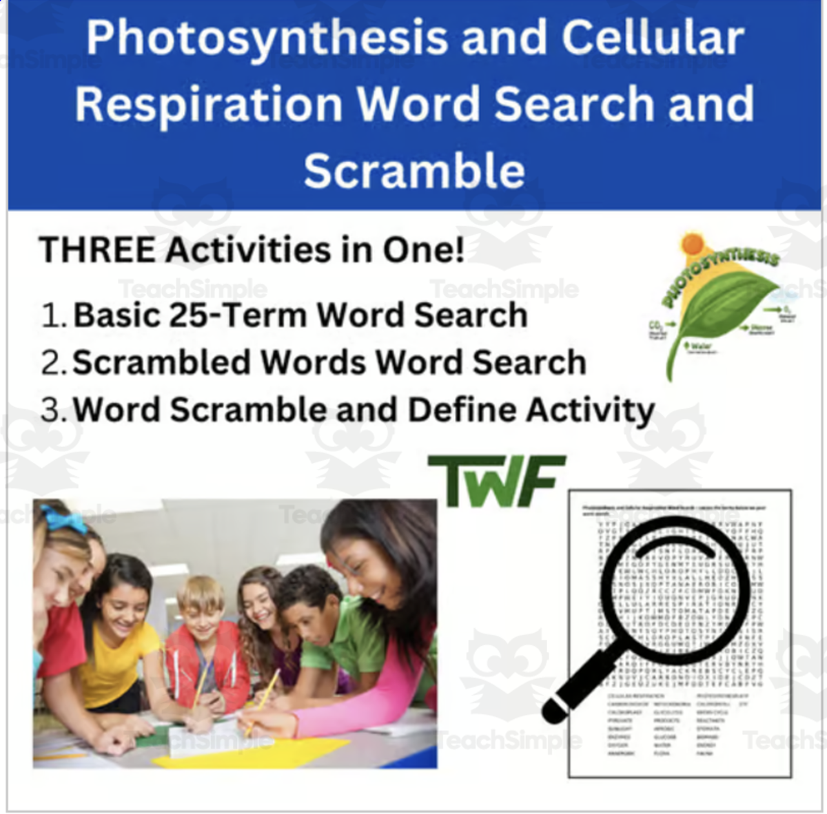 An educational teaching resource from Teach With Fergy entitled Photosynthesis & Cellular Respiration Word Search & Scramble Activity downloadable at Teach Simple.