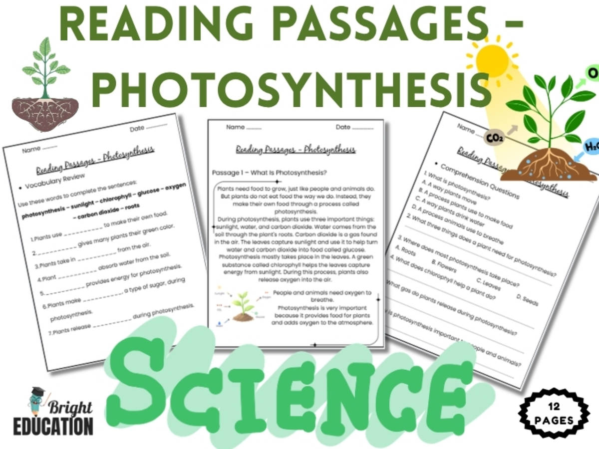 Photosynthesis Reading Passages | Science Reading Comprehension Worksh preview