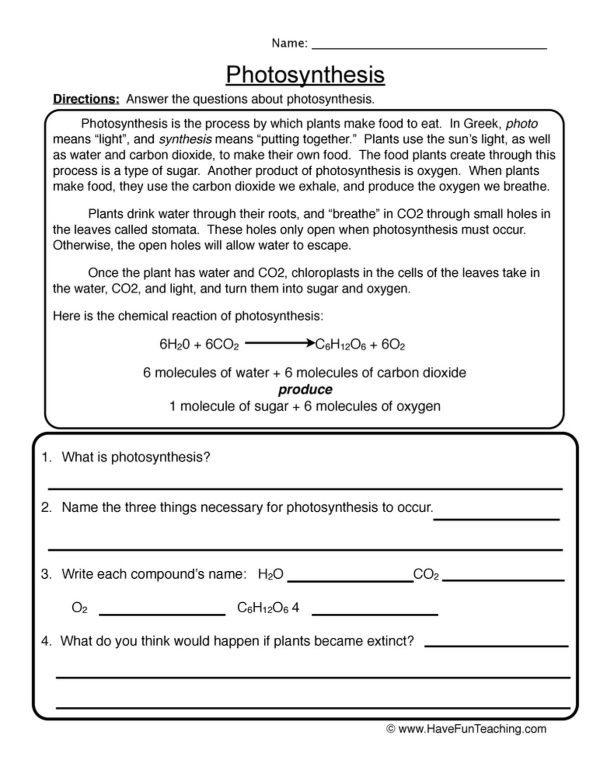 An educational teaching resource from Have Fun Teaching entitled Photosynthesis Reading Worksheet downloadable at Teach Simple.