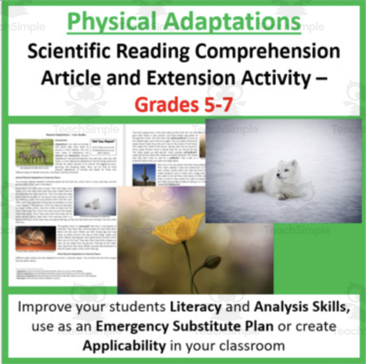 An educational teaching resource from Teach With Fergy entitled Physical Adaptations  - Science Reading Article - Grades 5-7 downloadable at Teach Simple.