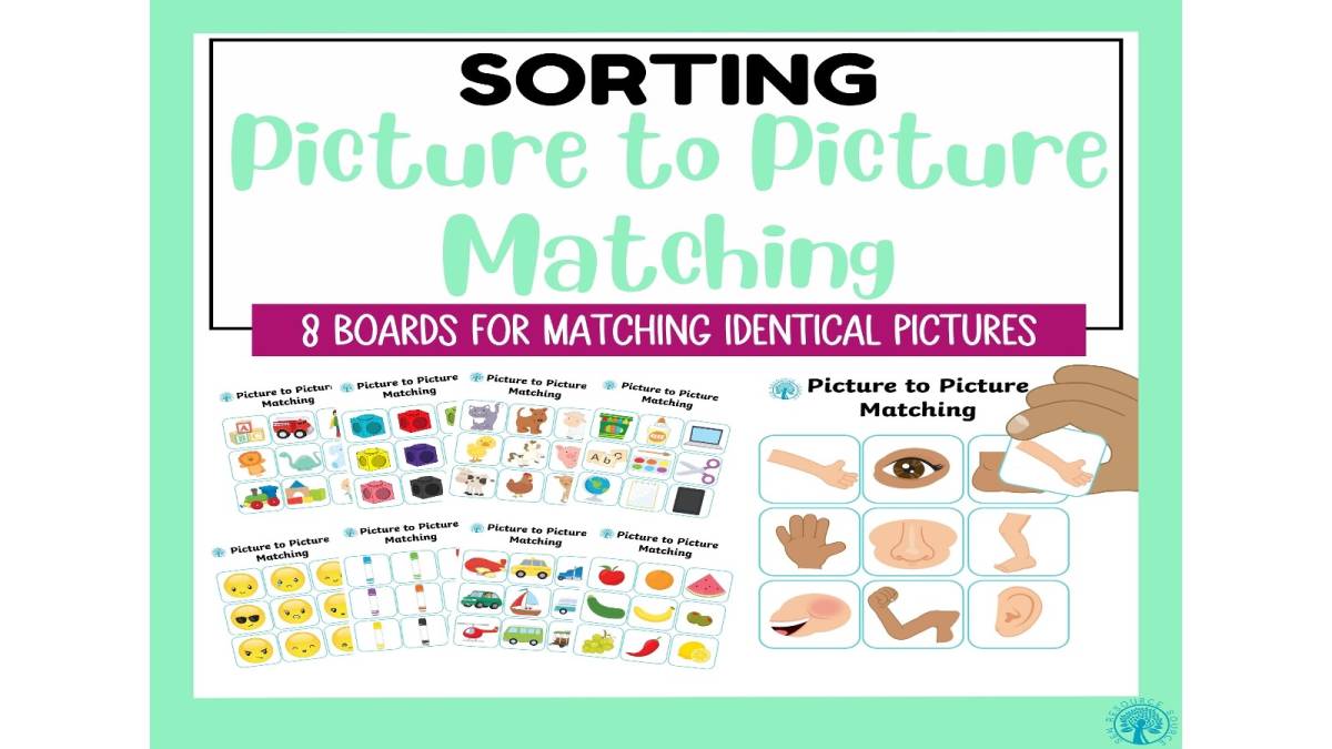 An educational teaching resource from SEN Resource Source entitled Picture to Picture Matching downloadable at Teach Simple.