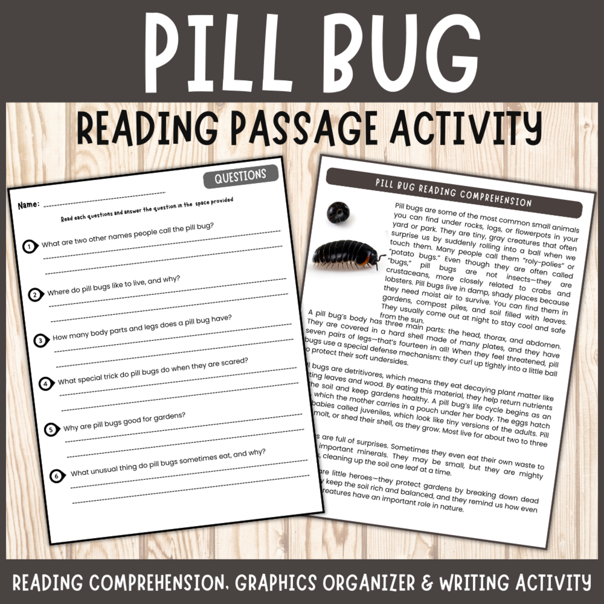 An educational teaching resource from Perfect_Printables entitled Pill bug roly poly reading passage comprehension graphics organizer downloadable at Teach Simple.