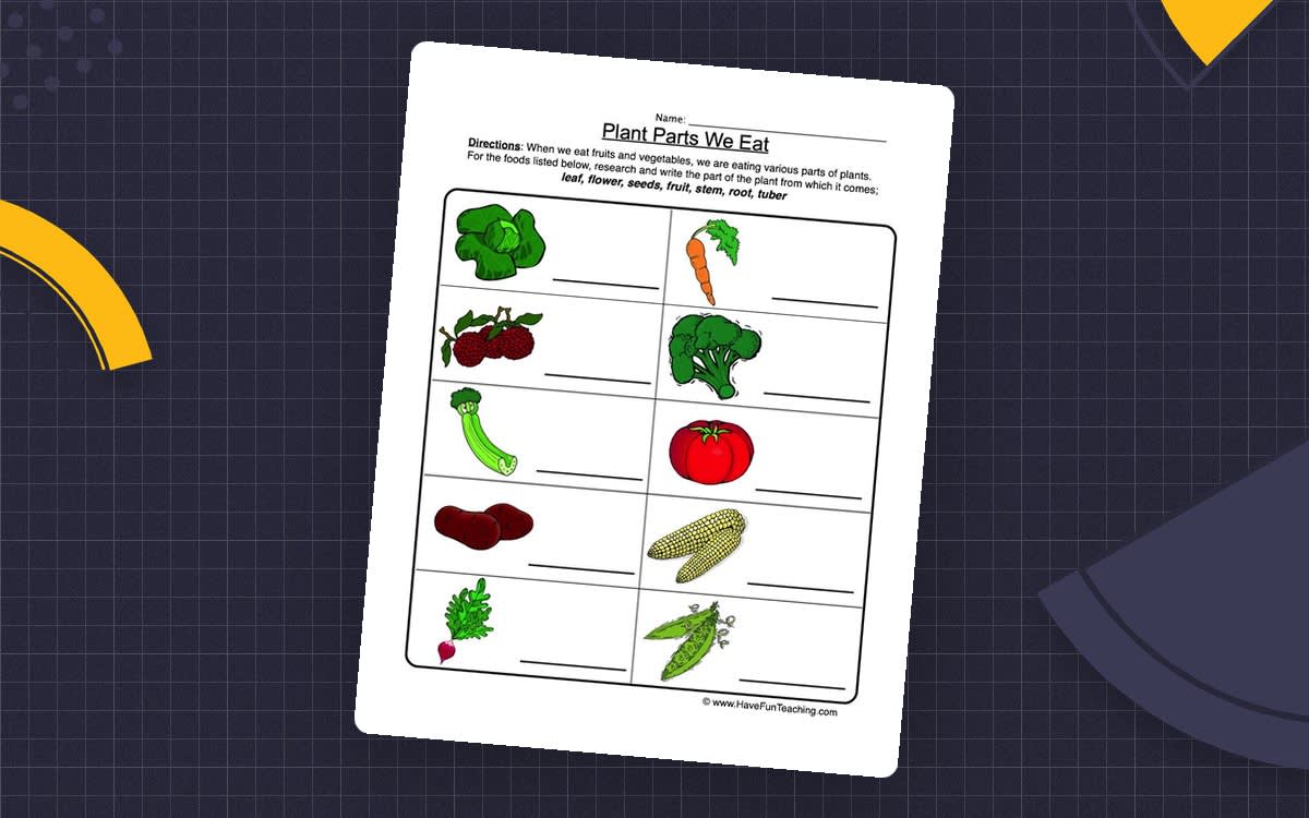 An educational teaching resource from Have Fun Teaching entitled Plant Parts We Eat Worksheet downloadable at Teach Simple.