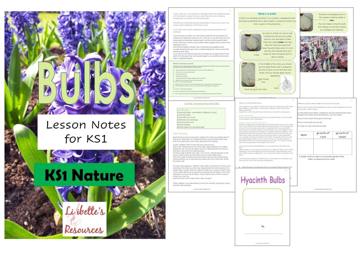 An educational teaching resource from Lilibette's Resources entitled Planting Bulbs downloadable at Teach Simple.
