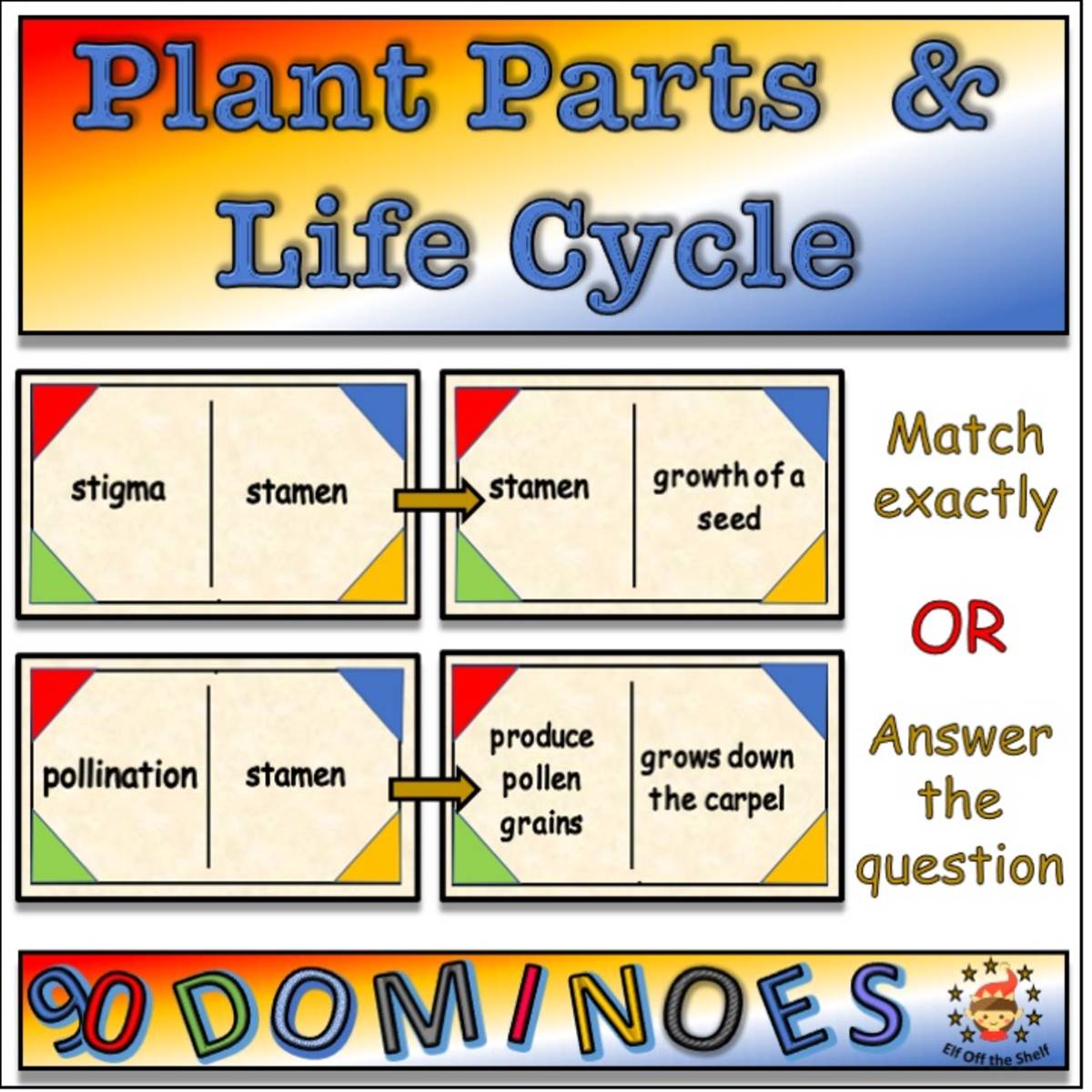 An educational teaching resource from Elf off the Shelf Resources entitled Plants - Anatomy and Life Cycle Dominoes Game - Middle School Science downloadable at Teach Simple.