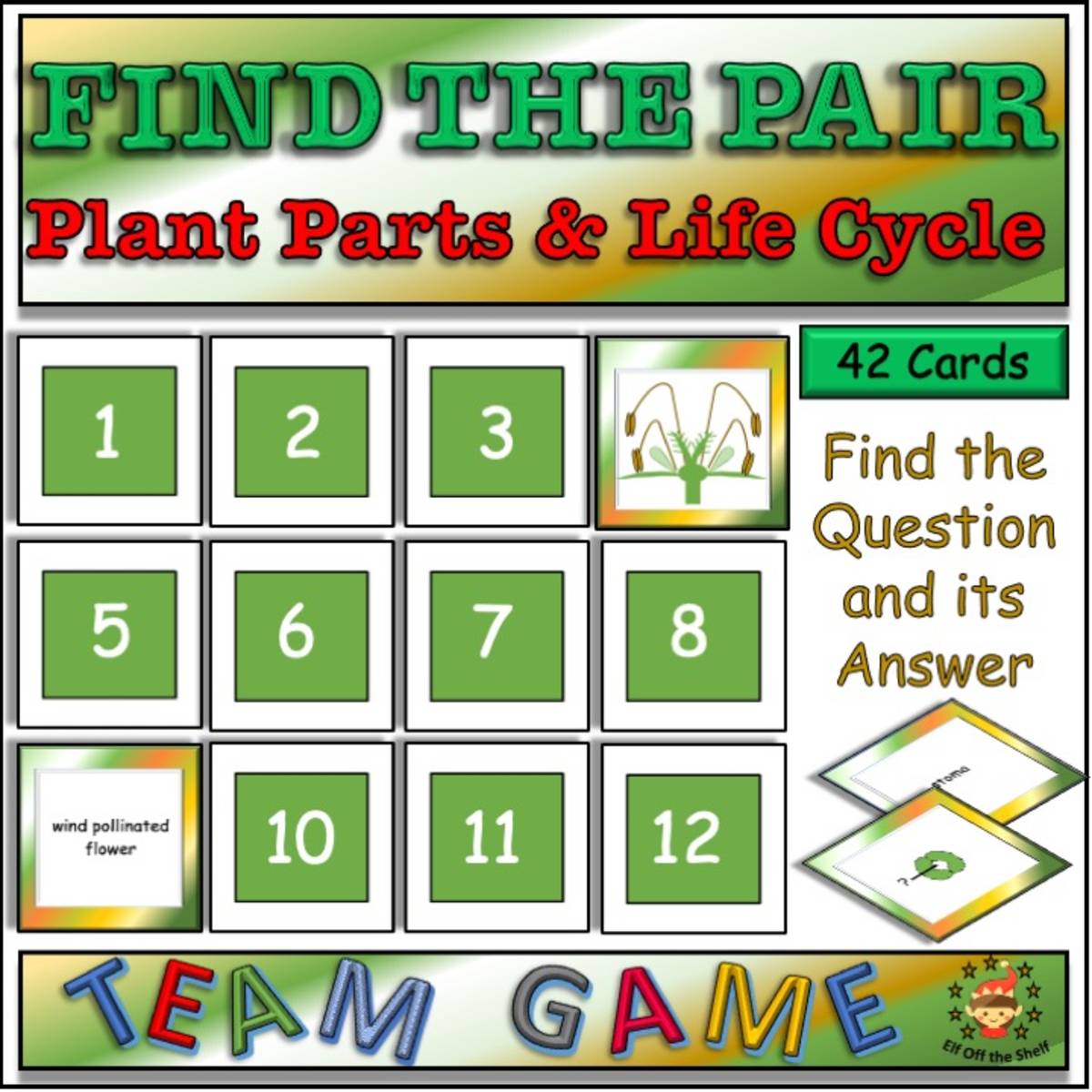 An educational teaching resource from Elf off the Shelf Resources entitled Plants - Anatomy and Life Cycle Find the Pair Game - Middle School Science downloadable at Teach Simple.