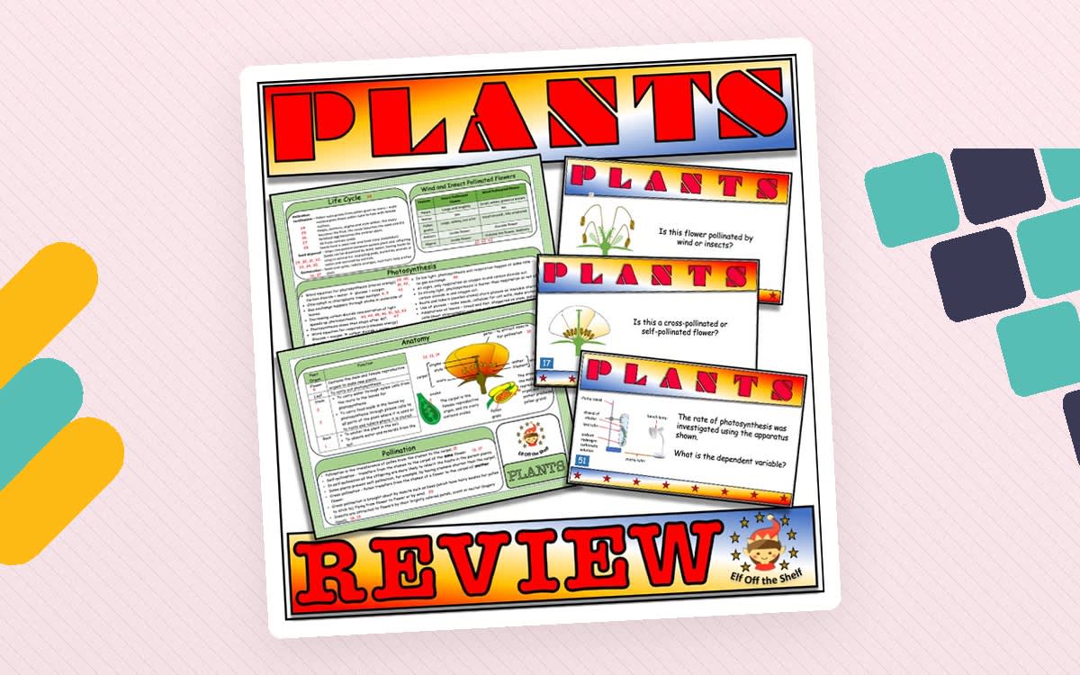 An educational teaching resource from Elf off the Shelf Resources entitled Plants-Anatomy, Life Cycle and Photosynthesis Test Prep Lesson - Middle School downloadable at Teach Simple.