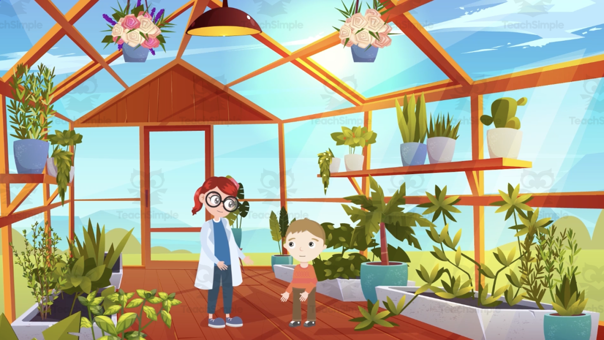 An educational teaching resource from Educational Voice entitled Plants Around the World | Animated Plants Video Lesson downloadable at Teach Simple.