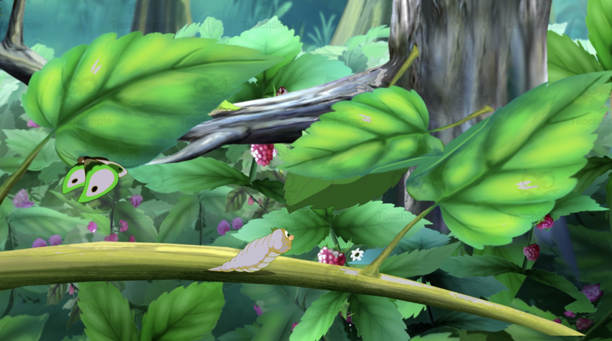 An educational teaching resource from Educational Voice entitled Plants as Habitats | Animated Plants Video Lesson downloadable at Teach Simple.