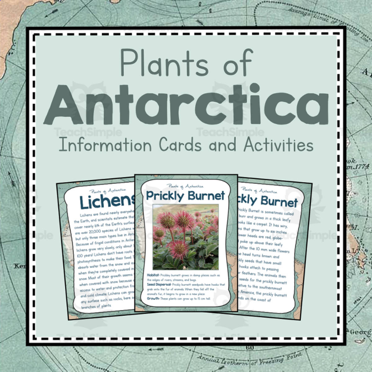 An educational teaching resource from Simply Schoolgirl entitled Plants of Antarctica | Antartica Unit Study | Geography Bundle downloadable at Teach Simple.