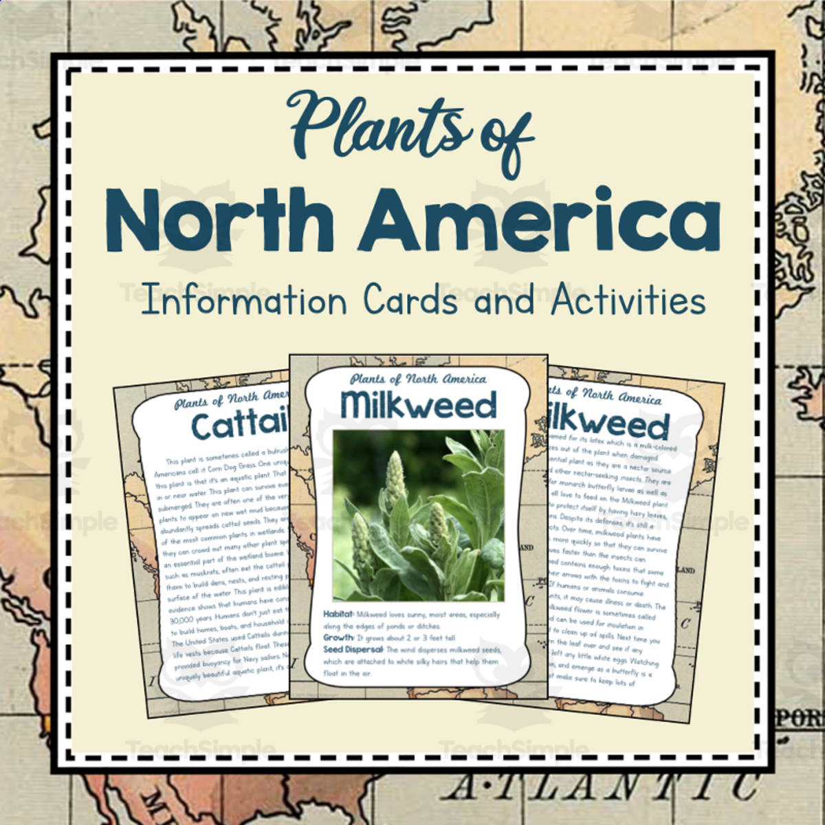 An educational teaching resource from Simply Schoolgirl entitled Plants of North America | North America Unit | Geography Bundle downloadable at Teach Simple.