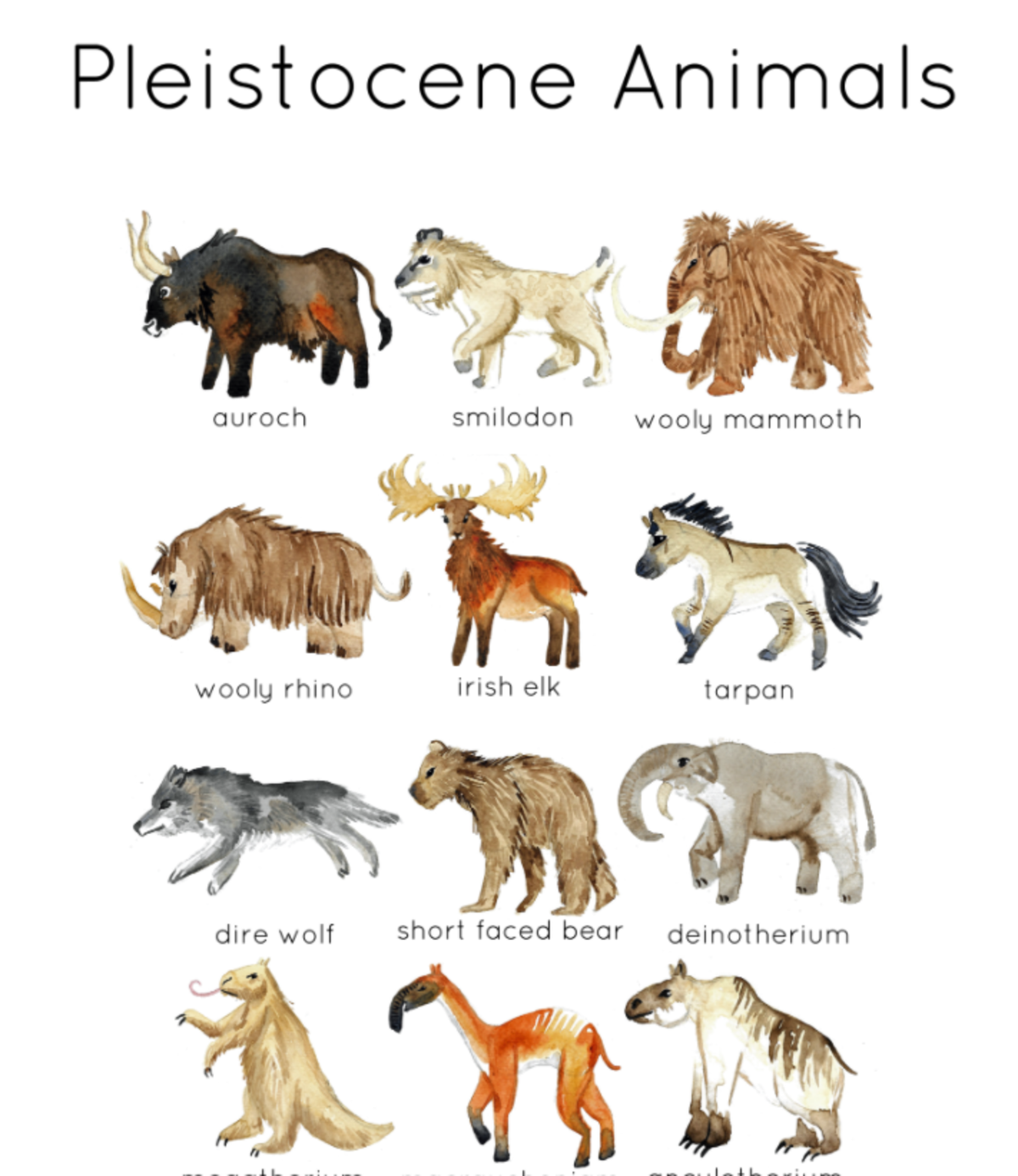 An educational teaching resource from Fiddleticks Education entitled Pleistocene Wildlife Flashcards downloadable at Teach Simple.