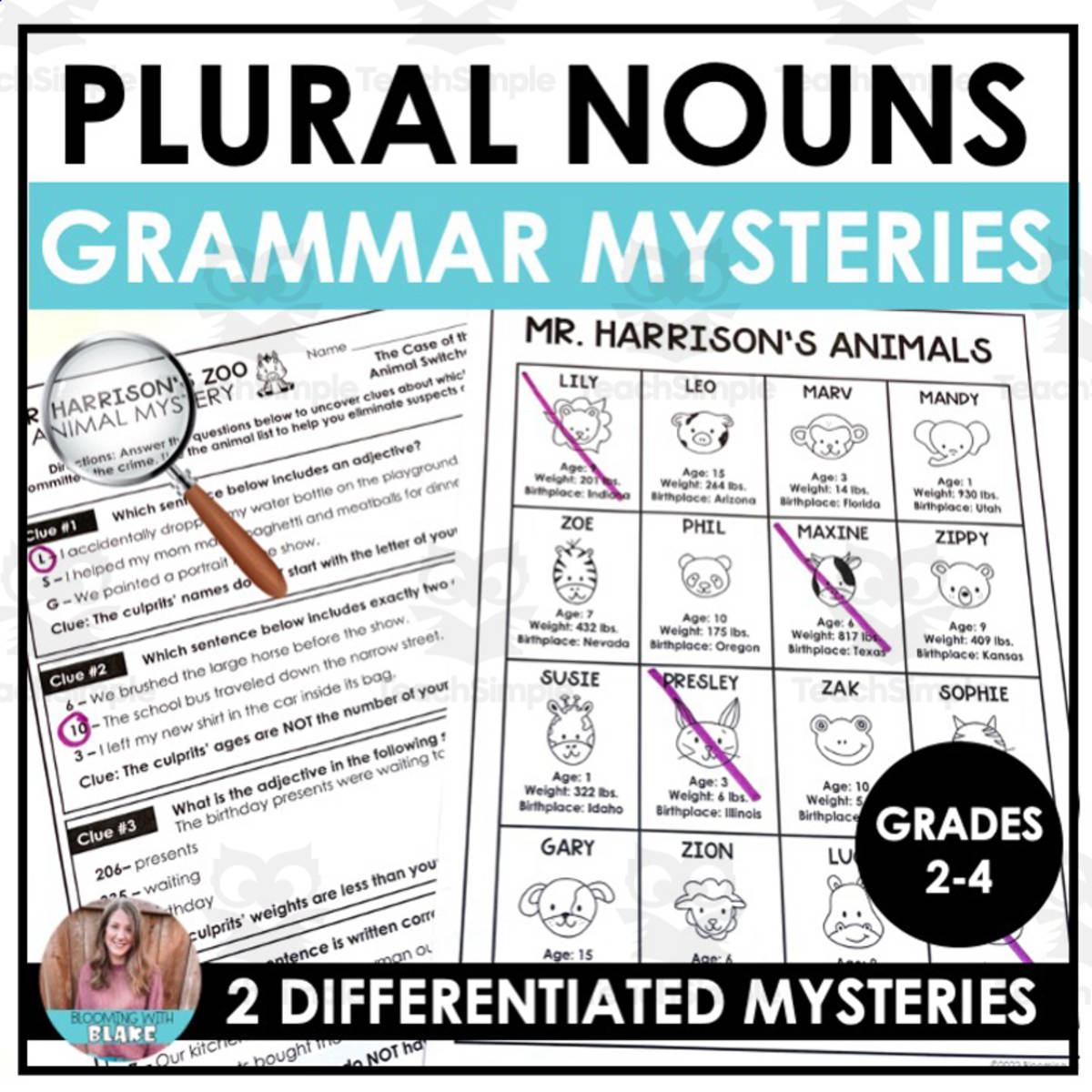 An educational teaching resource from Blooming with Blake entitled Plural Nouns Animal Mysteries Activity downloadable at Teach Simple.