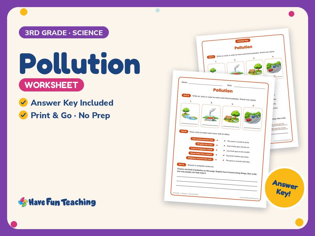 Pollution Worksheet – 3rd Grade Environments Practice + Answer Key preview